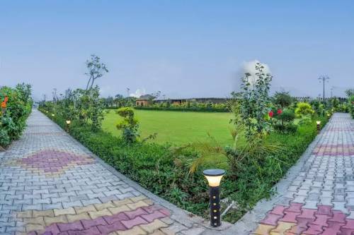 Big Size Farm in Delhi