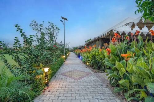 Farm with Flowers in Delhi
