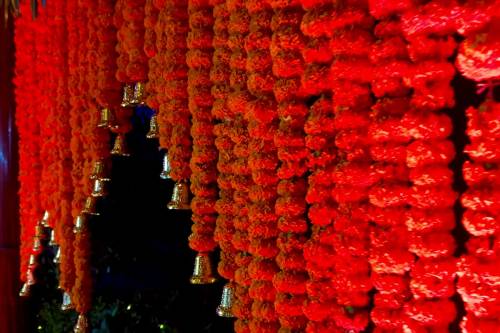 Flowers Decorated Farm in Delhi