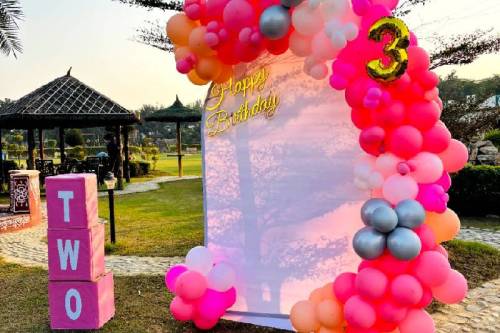 Fun and Festive Birthday Decoration Kit for Girls in Ghaziabad