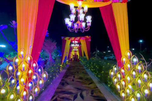 Lighting Farm in Delhi