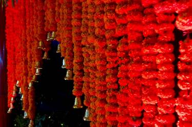 Flowers Decorated Farm in Ghaziabad